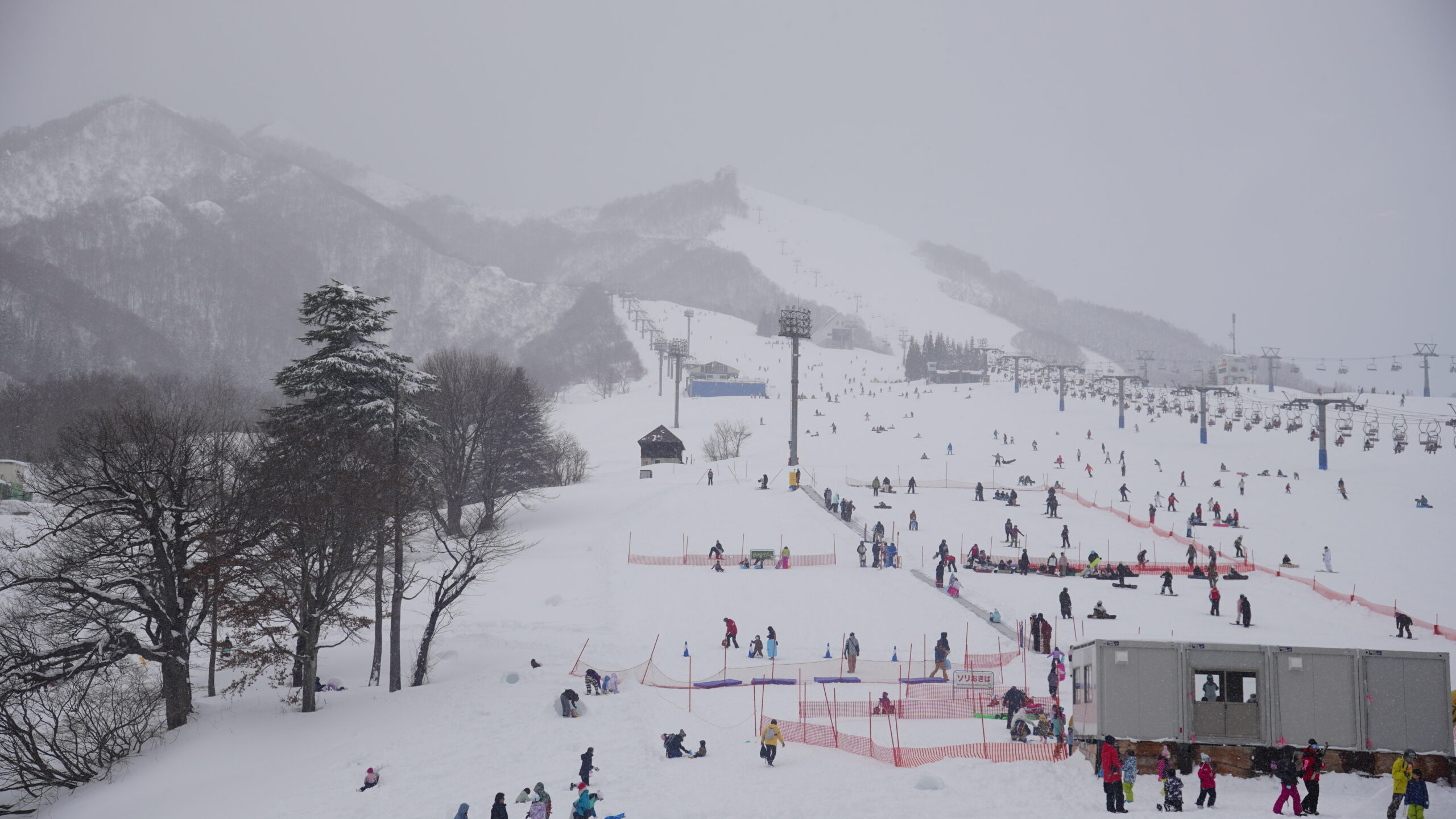 越後湯澤岩原滑雪場全景：以寬闊平緩的「家庭雪道」聞名，適合初學者練習