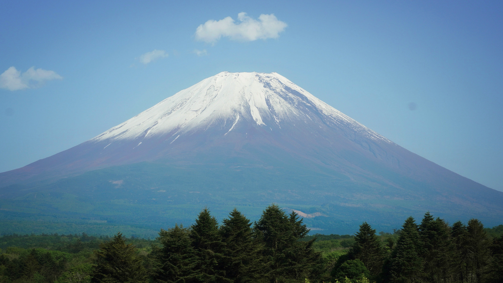 日本富士山住宿推薦|不到 NT$2,000 住進森林小木屋!河口湖實住心得,露天浴池、自己下廚、窗外就是富士山