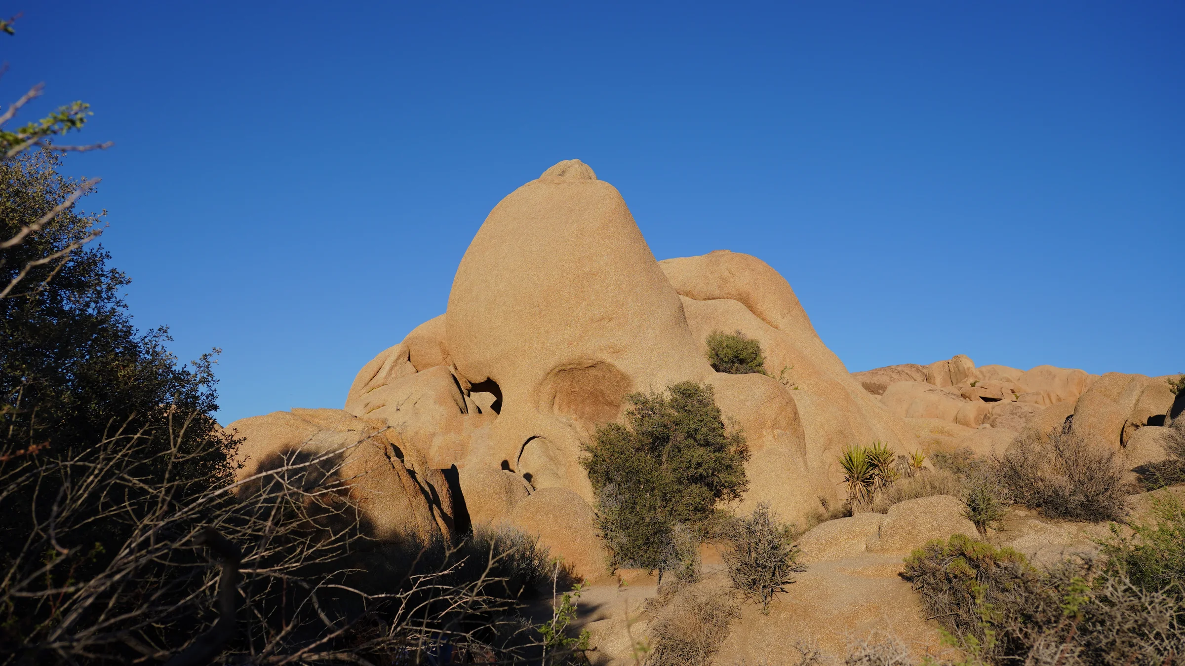 Skull Rock 的圓形巨石,岩面上有兩個凹洞,遠看像骷髏的眼窩,夕陽照在岩面上