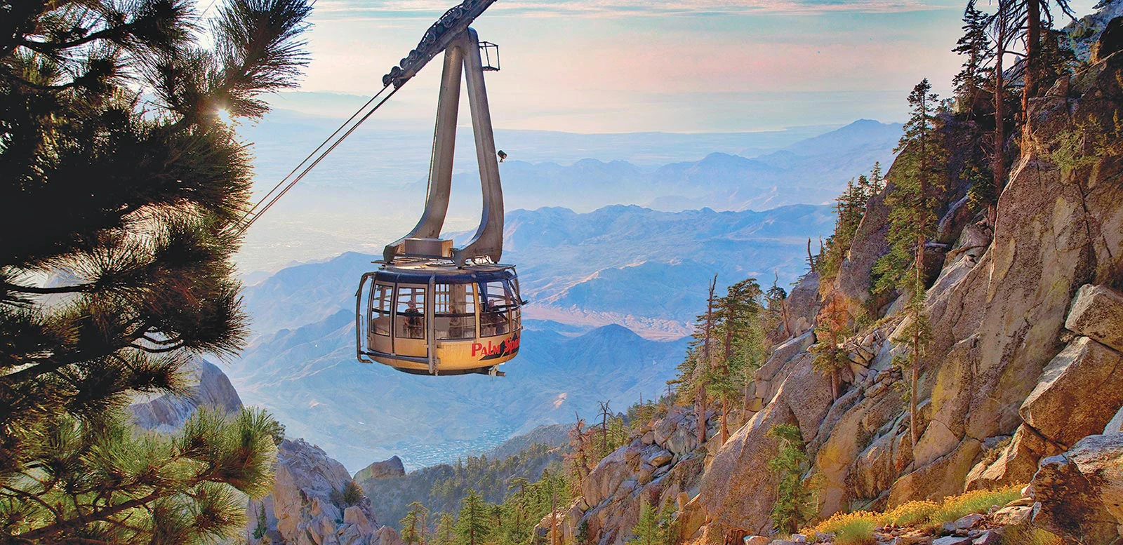Palm Springs Aerial Tramway 的旋轉纜車懸在山壁與松樹之間,遠處是層層山脈與沙漠谷地